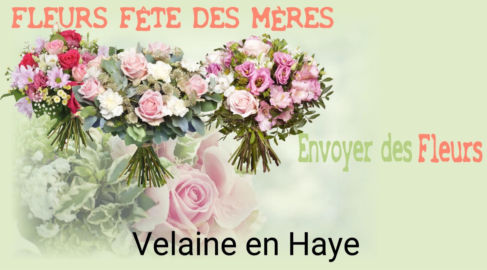 Bouquet de Fête des Mères livré à Velaine-en-Haye